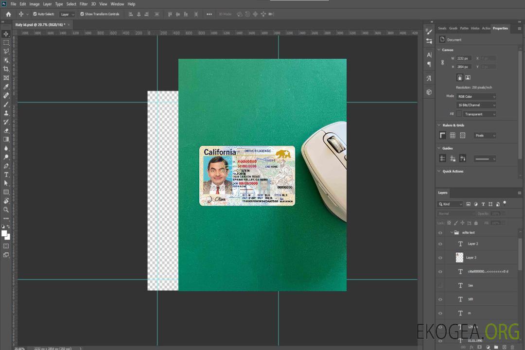 USA California DL (2018, janvier – présent) photolook FRONT template